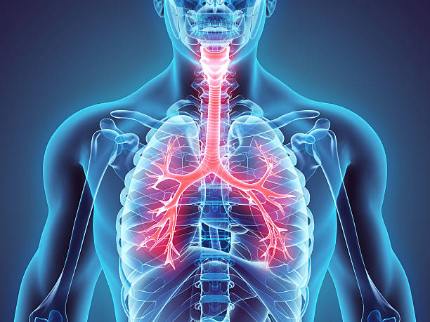 Homeopathy Clinic in Ahmedabad